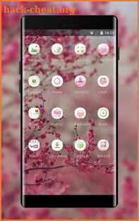 Flower theme pink blossom nature screenshot