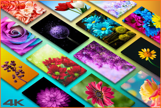 🌺 Flower Wallpapers - Colorful Flowers in HD & 4K screenshot