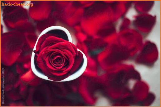 Flowers and Roses Live Wallpaper screenshot