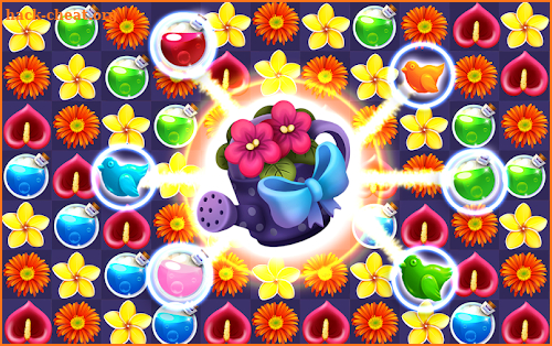 Flowers Mania screenshot