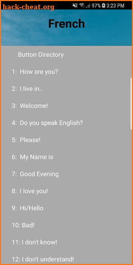 Foreign Language phrases (French, Spanish, Hindi) screenshot