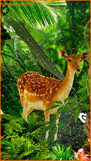 Forest Elk APUS Live Wallpaper screenshot