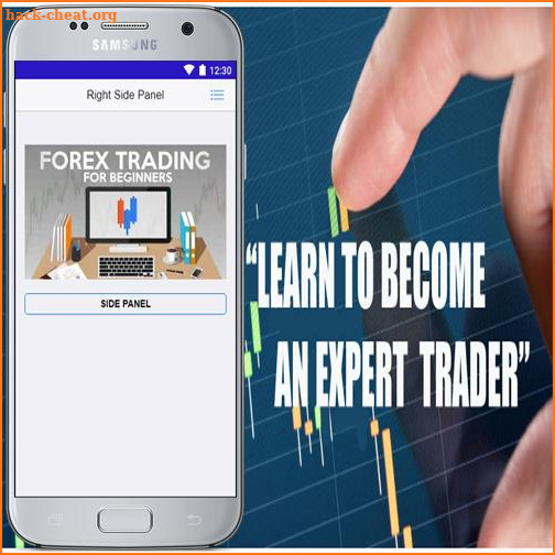 Forex Trading Beginner's Guide screenshot