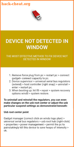 Format and Repair USB screenshot