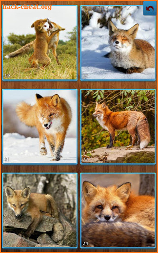 Fox Jigsaw Puzzles screenshot