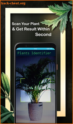 Free Plant Identifier : Plant Finder Camera screenshot