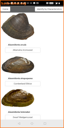 Freshwater Mussel Identification Guide screenshot