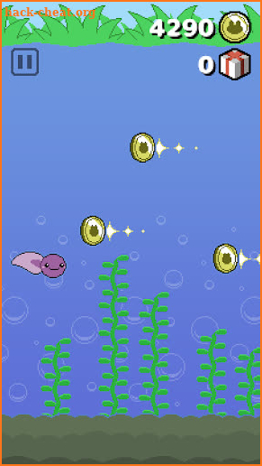 Froggy Quartet screenshot