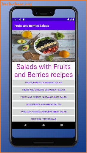 Fruits and Berries Salads screenshot