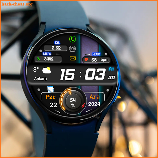 FSW278 Digital Watch face screenshot