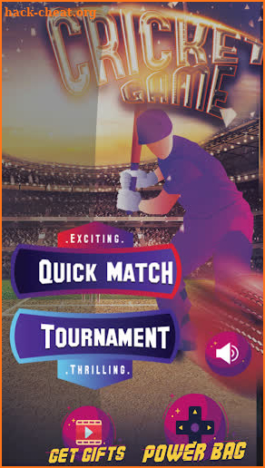 Fun Cricket 2019 screenshot