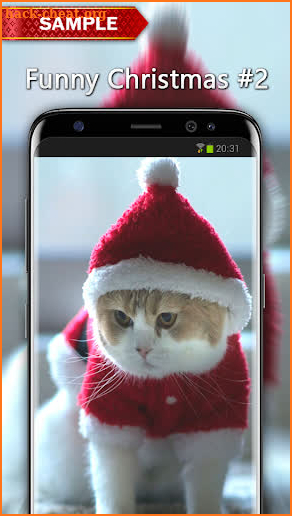 Funny Christmas Wallpapers screenshot