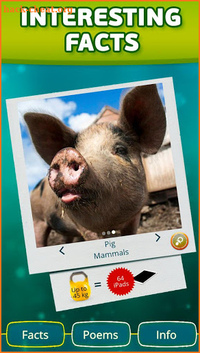 Funny Geneticist: Children's game with animals screenshot