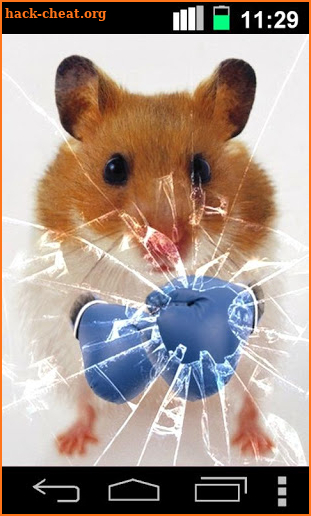 Funny Hamster Cracked Screen screenshot