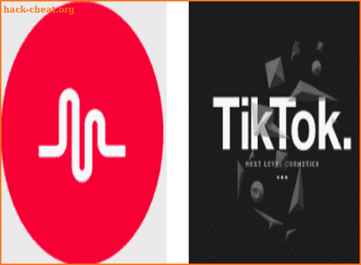 Funny Videos Of Tik Tok And Musically screenshot