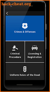 Georgia Police Guide screenshot