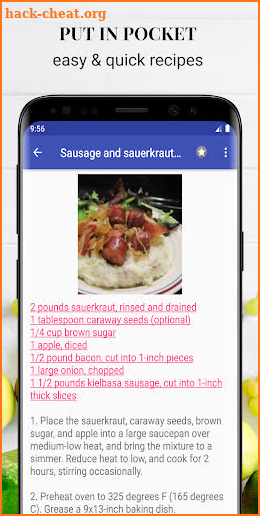 German recipes with photo offline screenshot