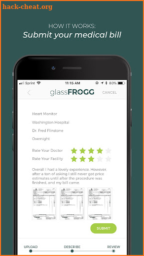 glassFROGG screenshot