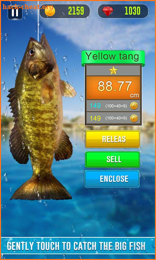 Go Fish 2019 - Amazing Fish Adventure Game screenshot