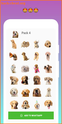 Golden Retriever Stickers for WhatsApp screenshot