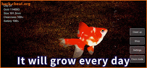 Goldfish 3D - Relaxing Aquarium Fish Tank screenshot