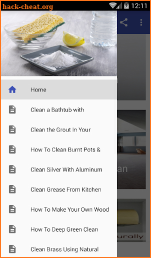 Green Cleaning Recipes screenshot