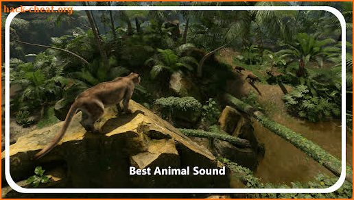 Green hell Animals Sound App screenshot