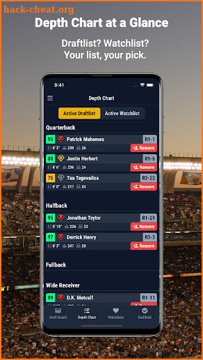 Gridiron Tools screenshot