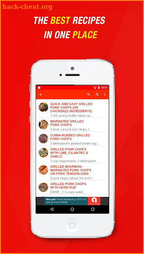 Grilled Pork Chop Recipes screenshot
