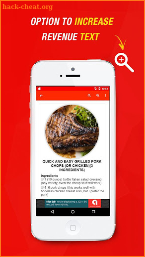 Grilled Pork Chop Recipes screenshot