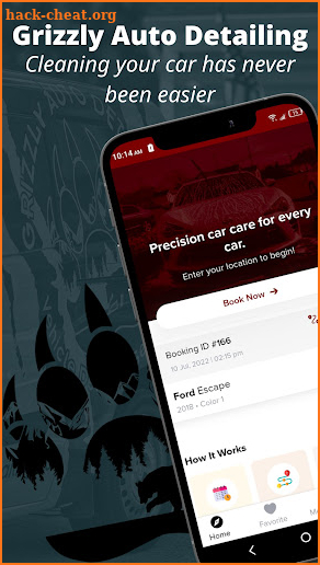 Grizzly Auto Detailing screenshot