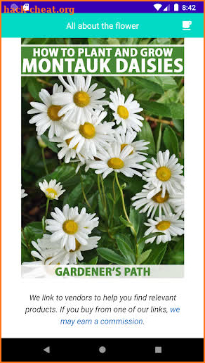 Grow Daisies Flower screenshot