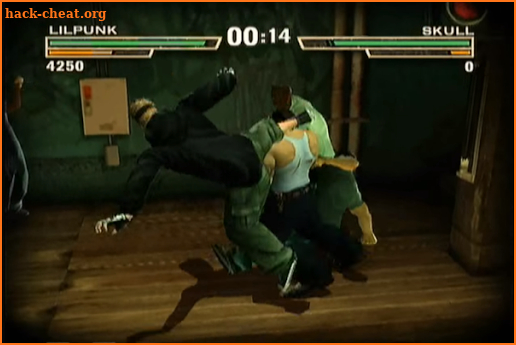 Guide Def Jam Fight For-NY screenshot