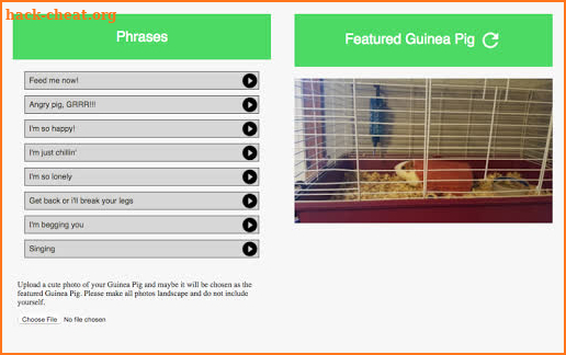 Guinea Pig Communicator screenshot