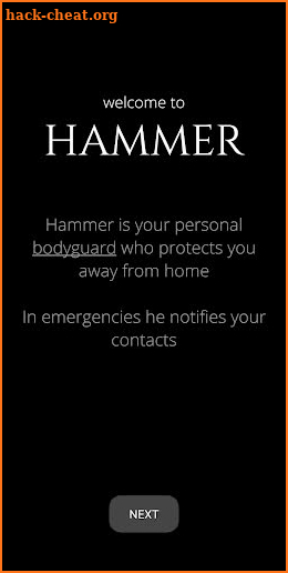 Hammer Security screenshot