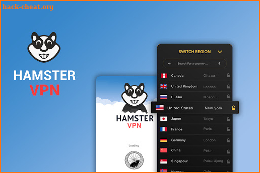 Hamster VPN screenshot