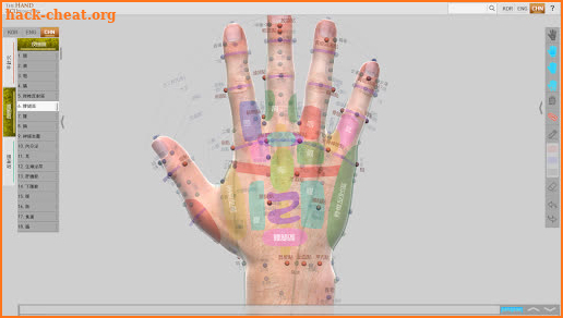 Hand Acupuncture screenshot