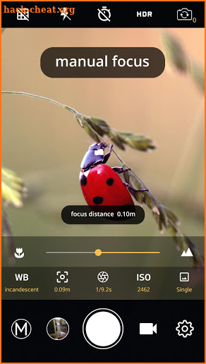 HD Camera Pro : Professional Camera screenshot