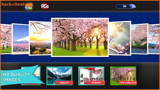 HD Jigsaw Puzzles - No Wifi screenshot