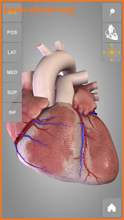 Heart 3D Anatomy screenshot