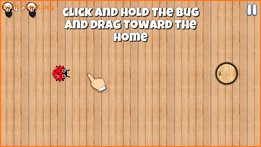 HELP THE BUG - Physics Puzzle screenshot