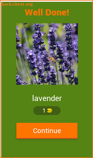 Herbs and spices quiz screenshot