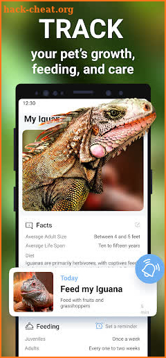 Herps identifier: snake snap screenshot