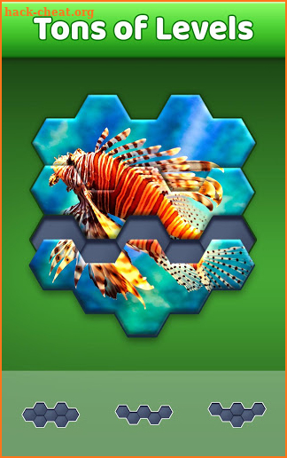 Hexa Jigsaw Puzzle™ screenshot