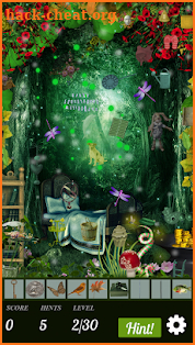 Hidden Object Hunt - Celtic Magic screenshot