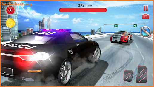 Highway Police Car Chase screenshot