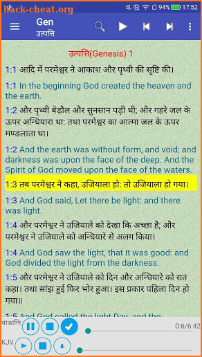 Hindi English Holy Bible Offline Audio Pro screenshot