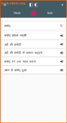 Hindi - Irish Dictionary (Dic1) screenshot