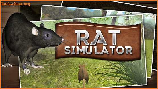 Home Rat simulator screenshot