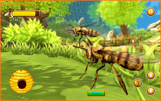 Honey Bee – Bug Games screenshot